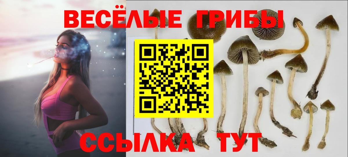 Первоуральск  Каннабис  МЕФ кристаллы  НБОМе  Амфетамин кристаллы  ГАШ  Вход с VPN  APVP СК кристаллы 